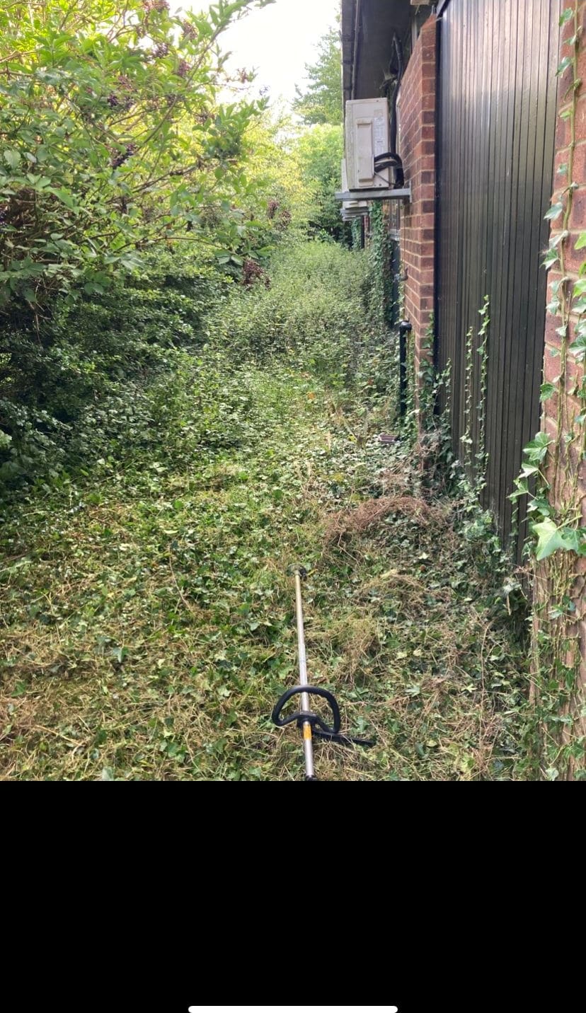 Side garden cleared before